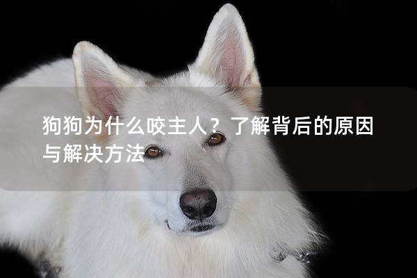 狗狗为什么咬主人？了解背后的原因与解决方法