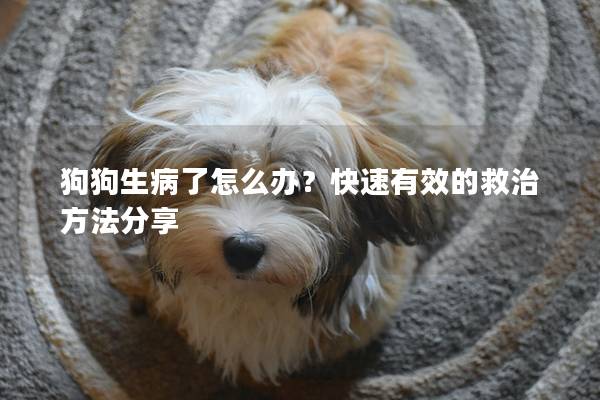 狗狗生病了怎么办？快速有效的救治方法分享