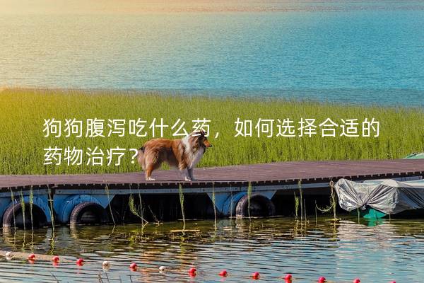 狗狗腹泻吃什么药,如何选择合适的药物治疗? 狗狗腹泻吃什么药,如何选择合适的药物治疗?