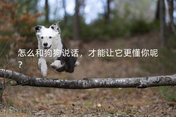 怎么和狗狗说话，才能让它更懂你呢？