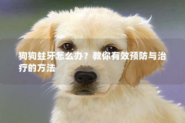狗狗蛀牙怎么办？教你有效预防与治疗的方法