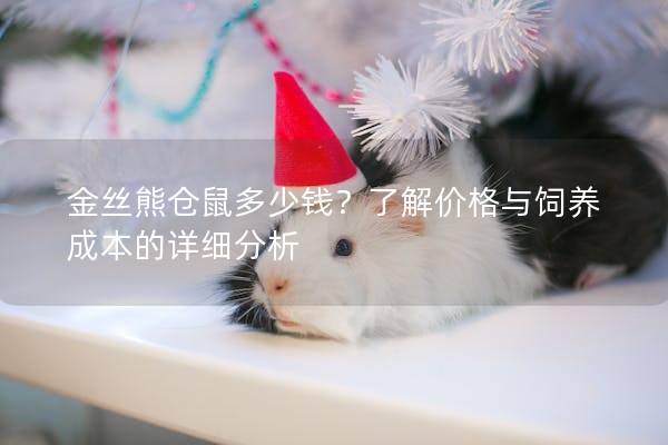 金丝熊仓鼠多少钱？了解价格与饲养成本的详细分析