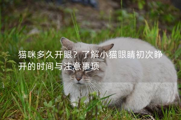 猫咪多久开眼？了解小猫眼睛初次睁开的时间与注意事项