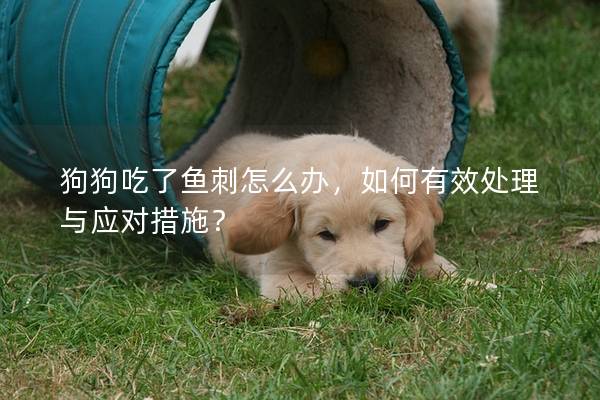 狗狗吃了鱼刺怎么办，如何有效处理与应对措施？