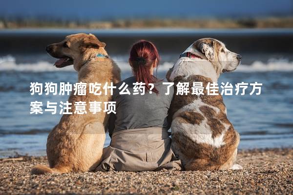 狗狗肿瘤吃什么药？了解最佳治疗方案与注意事项