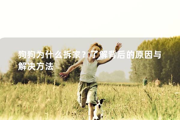狗狗为什么拆家？了解背后的原因与解决方法