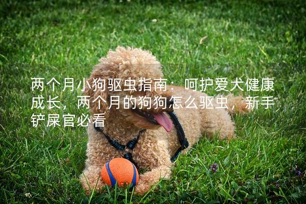 两个月小狗驱虫指南:呵护爱犬健康成长,两个月的狗狗怎么驱虫,新手铲屎官必看 两个月小狗驱虫指南:呵护爱犬健康成长,两个月的狗狗怎么驱虫,新手铲屎官必看