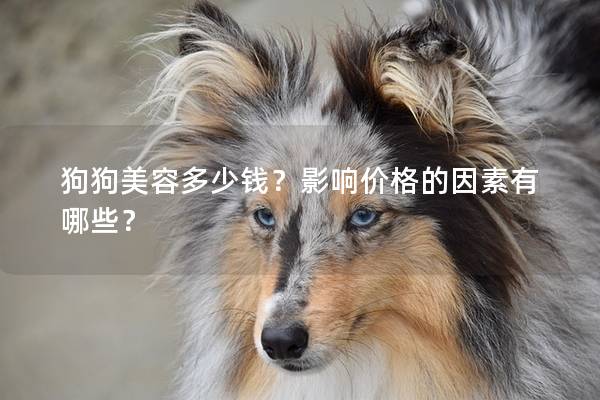 狗狗美容多少钱？影响价格的因素有哪些？