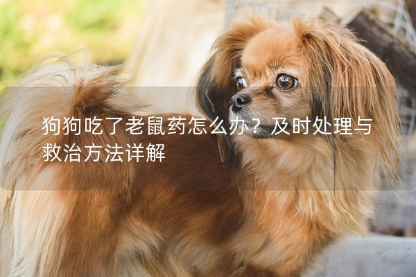 狗狗吃了老鼠药怎么办？及时处理与救治方法详解