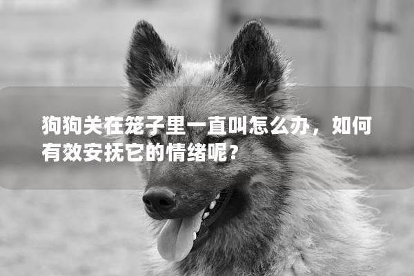 狗狗关在笼子里一直叫怎么办，如何有效安抚它的情绪呢？