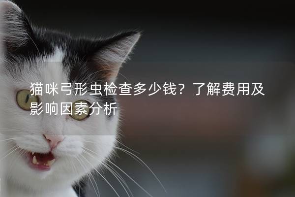 猫咪弓形虫检查多少钱？了解费用及影响因素分析