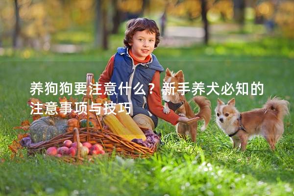 养狗狗要注意什么?新手养犬必知的注意事项与技巧 养狗狗要注意什么?新手养犬必知的注意事项与技巧