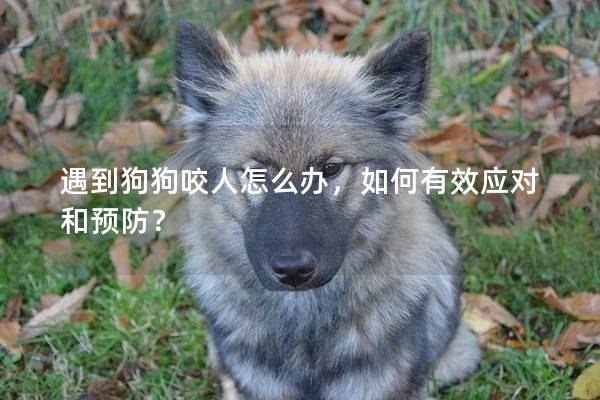 遇到狗狗咬人怎么办,如何有效应对和预防? 遇到狗狗咬人怎么办,如何有效应对和预防?