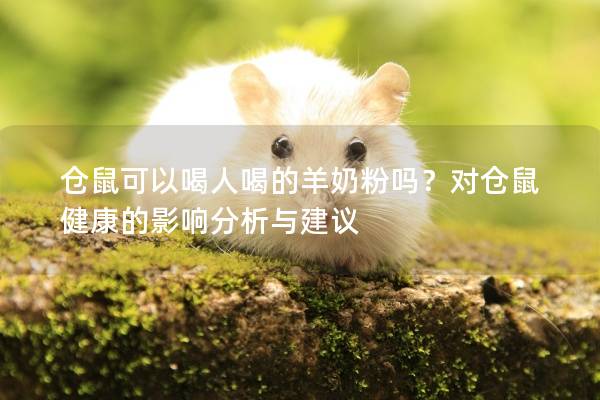 仓鼠可以喝人喝的羊奶粉吗？对仓鼠健康的影响分析与建议