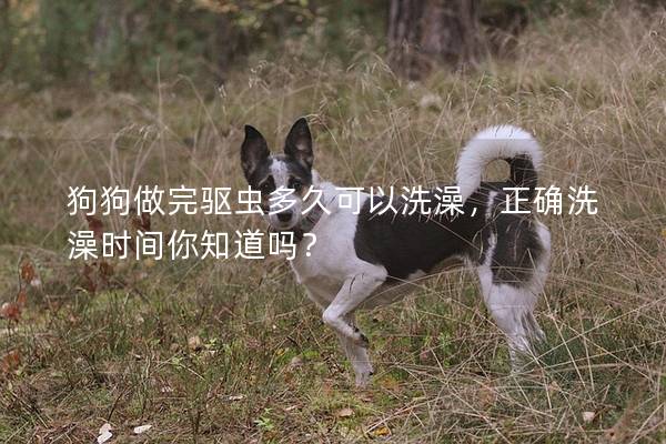 狗狗做完驱虫多久可以洗澡，正确洗澡时间你知道吗？