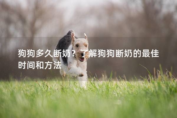 狗狗多久断奶？了解狗狗断奶的最佳时间和方法