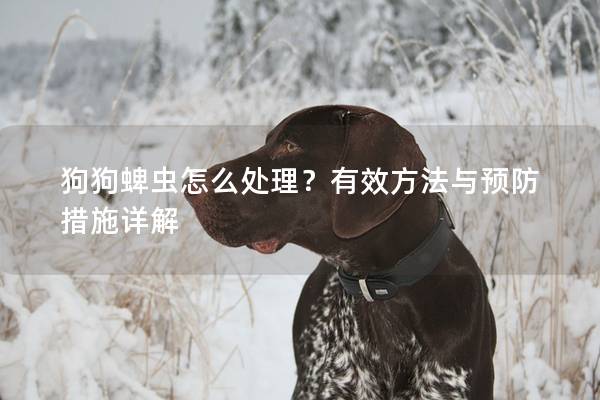 狗狗蜱虫怎么处理？有效方法与预防措施详解