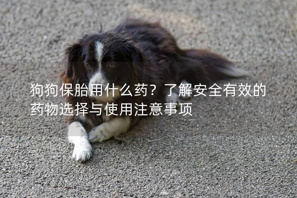 狗狗保胎用什么药？了解安全有效的药物选择与使用注意事项