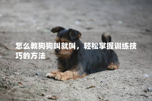 怎么教狗狗叫就叫，轻松掌握训练技巧的方法