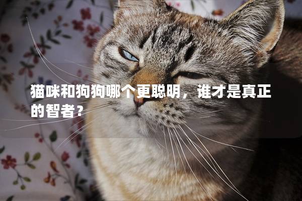 猫咪和狗狗哪个更聪明，谁才是真正的智者？