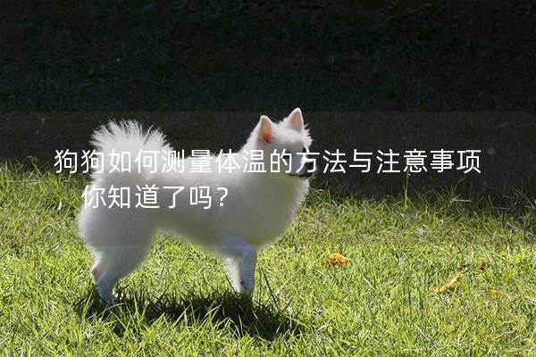 狗狗如何测量体温的方法与注意事项，你知道了吗？