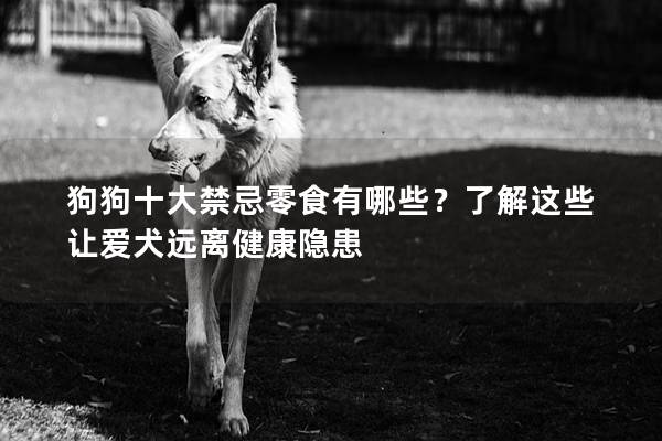 狗狗十大禁忌零食有哪些？了解这些让爱犬远离健康隐患