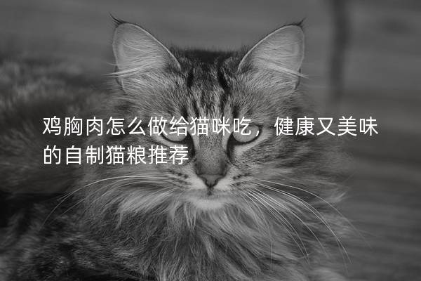 鸡胸肉怎么做给猫咪吃，健康又美味的自制猫粮推荐
