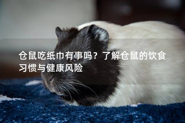仓鼠吃纸巾有事吗？了解仓鼠的饮食习惯与健康风险