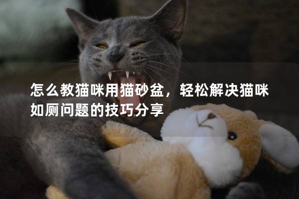 怎么教猫咪用猫砂盆，轻松解决猫咪如厕问题的技巧分享