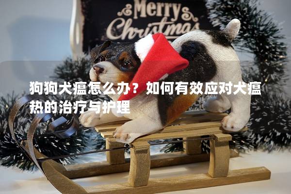 狗狗犬瘟怎么办?如何有效应对犬瘟热的治疗与护理 狗狗犬瘟怎么办?如何有效应对犬瘟热的治疗与护理