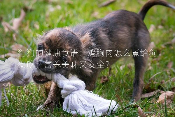 狗狗的健康食谱：鸡胸肉怎么煮给狗狗吃，营养美味又安全？