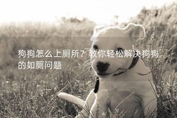 狗狗怎么上厕所？教你轻松解决狗狗的如厕问题