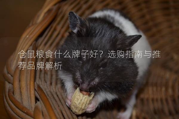 仓鼠粮食什么牌子好？选购指南与推荐品牌解析