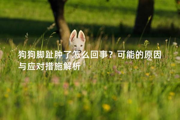 狗狗脚趾肿了怎么回事？可能的原因与应对措施解析