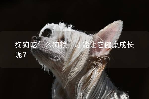 狗狗吃什么狗粮，才能让它健康成长呢？