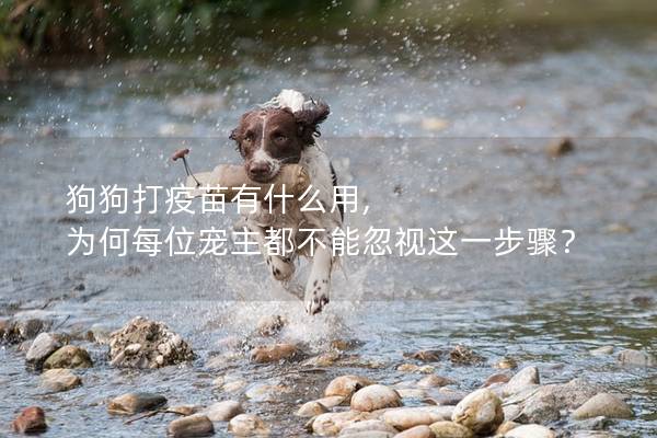 狗狗打疫苗有什么用, 为何每位宠主都不能忽视这一步骤？