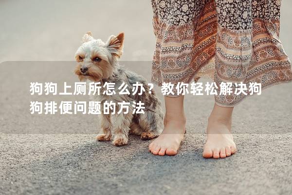 狗狗上厕所怎么办？教你轻松解决狗狗排便问题的方法