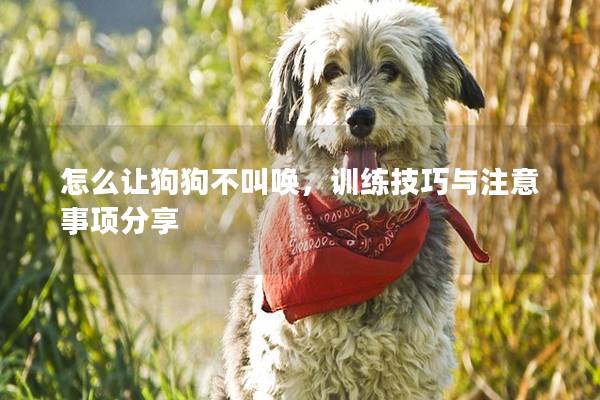 怎么让狗狗不叫唤,训练技巧与注意事项分享 怎么让狗狗不叫唤,训练技巧与注意事项分享