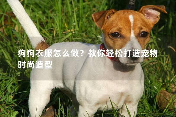 狗狗衣服怎么做？教你轻松打造宠物时尚造型