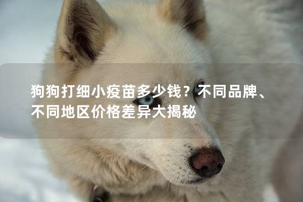 狗狗打细小疫苗多少钱？不同品牌、不同地区价格差异大揭秘