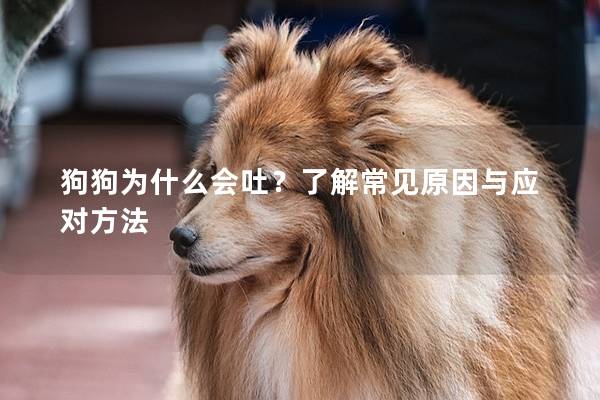 狗狗为什么会吐？了解常见原因与应对方法