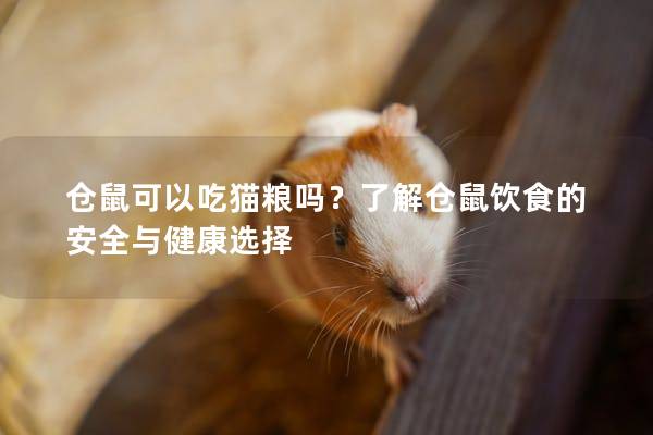 仓鼠可以吃猫粮吗？了解仓鼠饮食的安全与健康选择