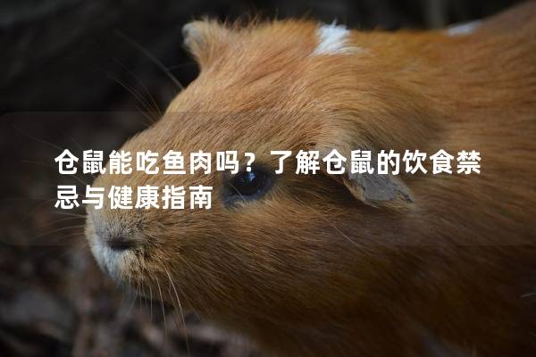 仓鼠能吃鱼肉吗？了解仓鼠的饮食禁忌与健康指南