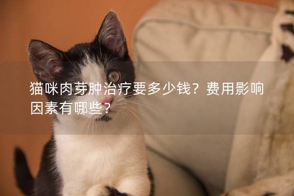 猫咪肉芽肿治疗要多少钱？费用影响因素有哪些？