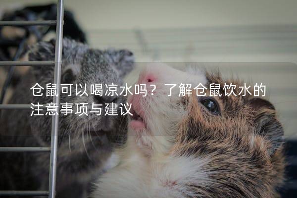 仓鼠可以喝凉水吗？了解仓鼠饮水的注意事项与建议