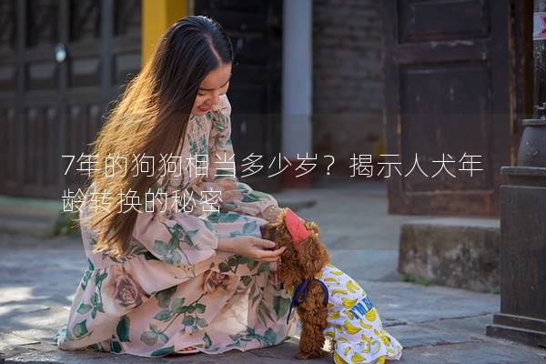 7年的狗狗相当多少岁？揭示人犬年龄转换的秘密