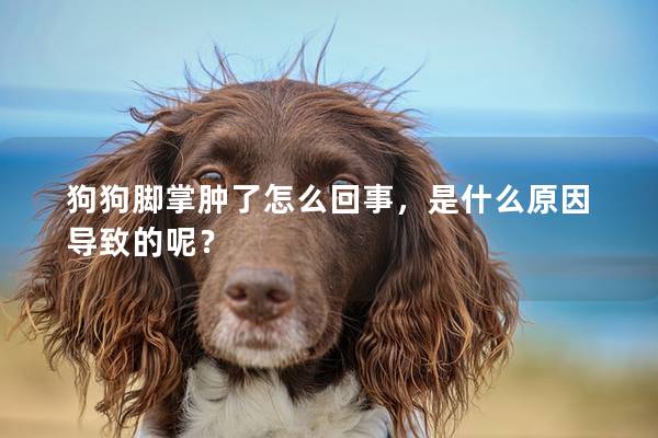 狗狗脚掌肿了怎么回事，是什么原因导致的呢？