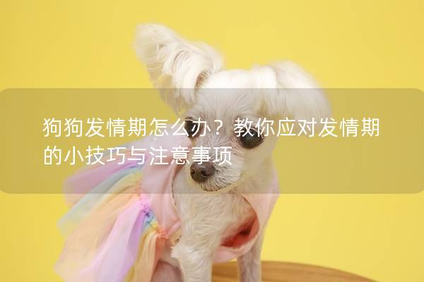 狗狗发情期怎么办？教你应对发情期的小技巧与注意事项
