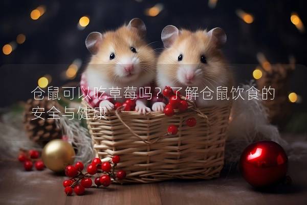 仓鼠可以吃草莓吗？了解仓鼠饮食的安全与健康