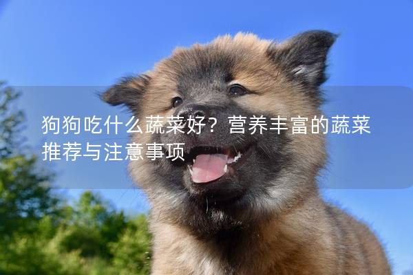 狗狗吃什么蔬菜好？营养丰富的蔬菜推荐与注意事项